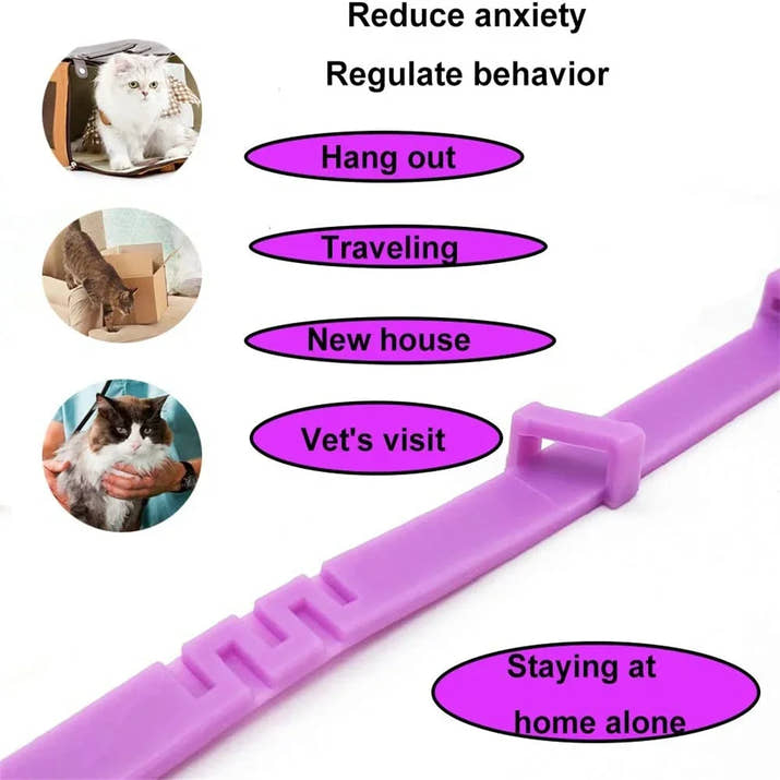CalmPaws Comfort Collar™