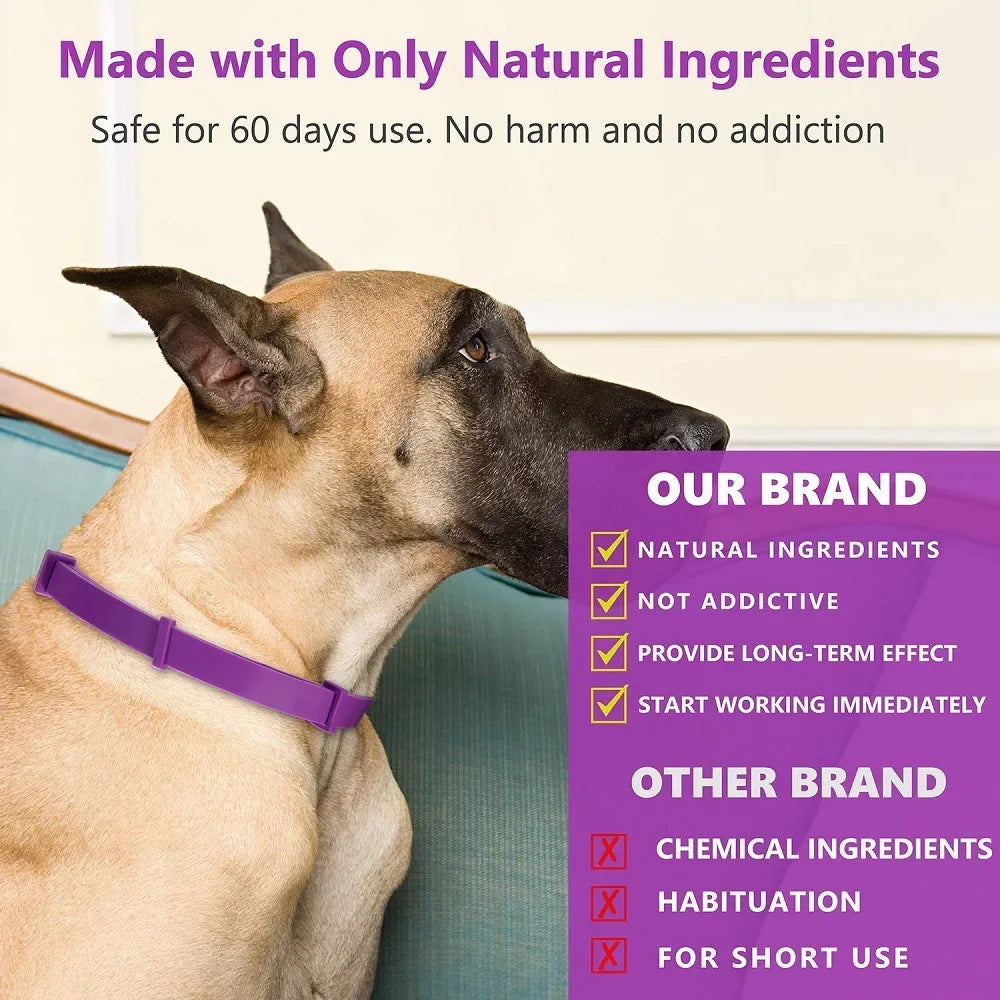 CalmPaws Comfort Collar™