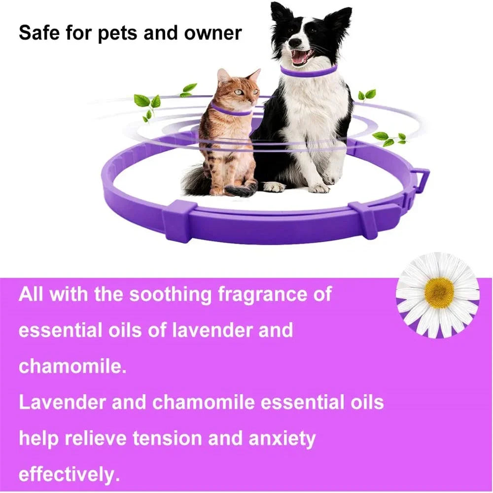 CalmPaws Comfort Collar™
