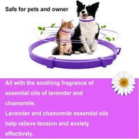 CalmPaws Comfort Collar™