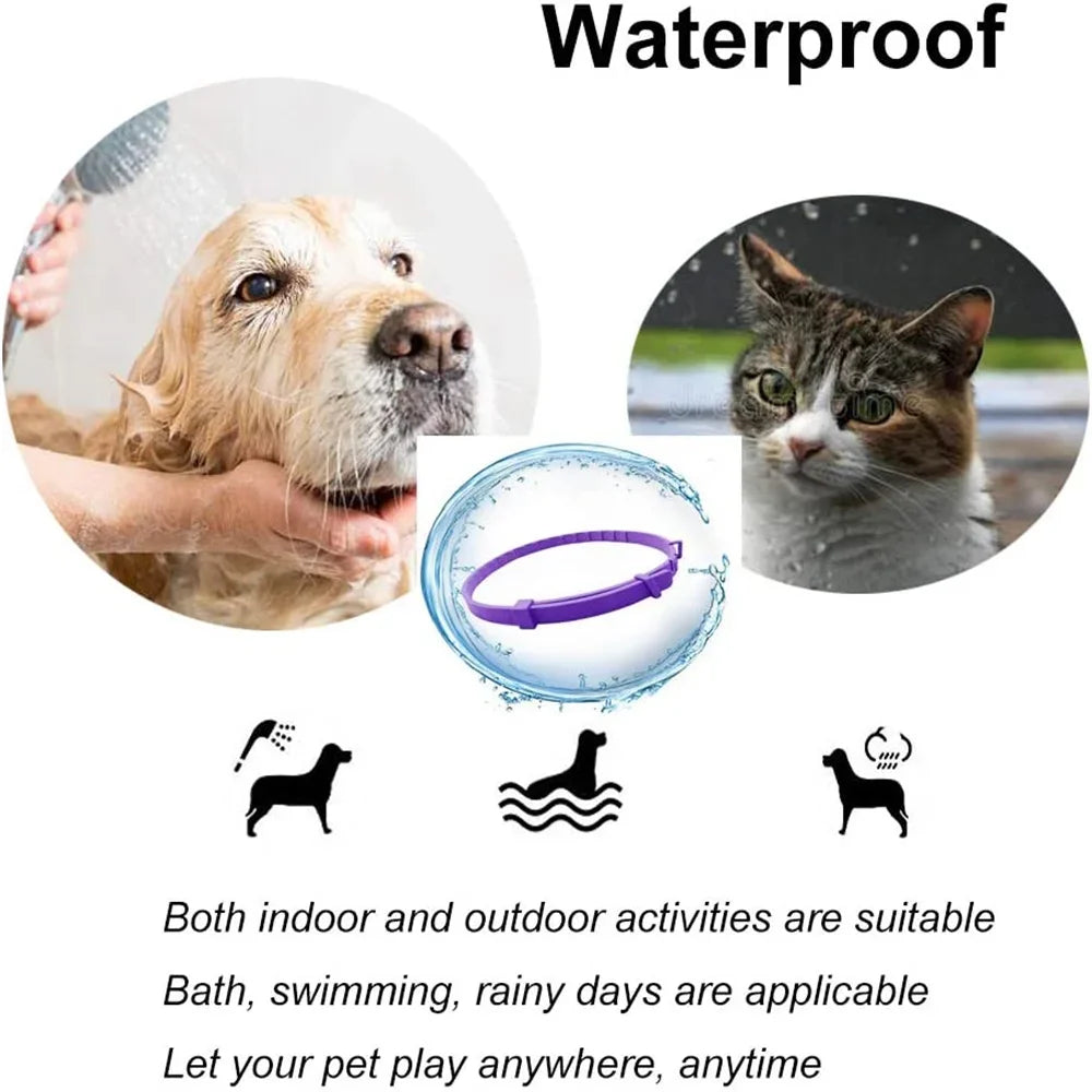 CalmPaws Comfort Collar™